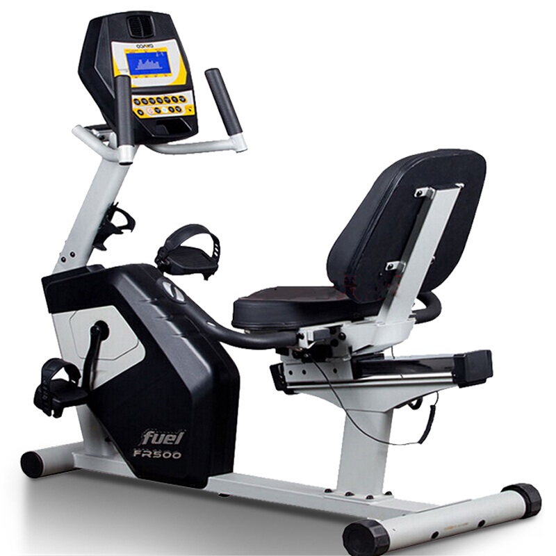 DYACO岱宇FR300家用磁控靜音動感單車室內(nèi)運(yùn)動迷你臥式健身自行車