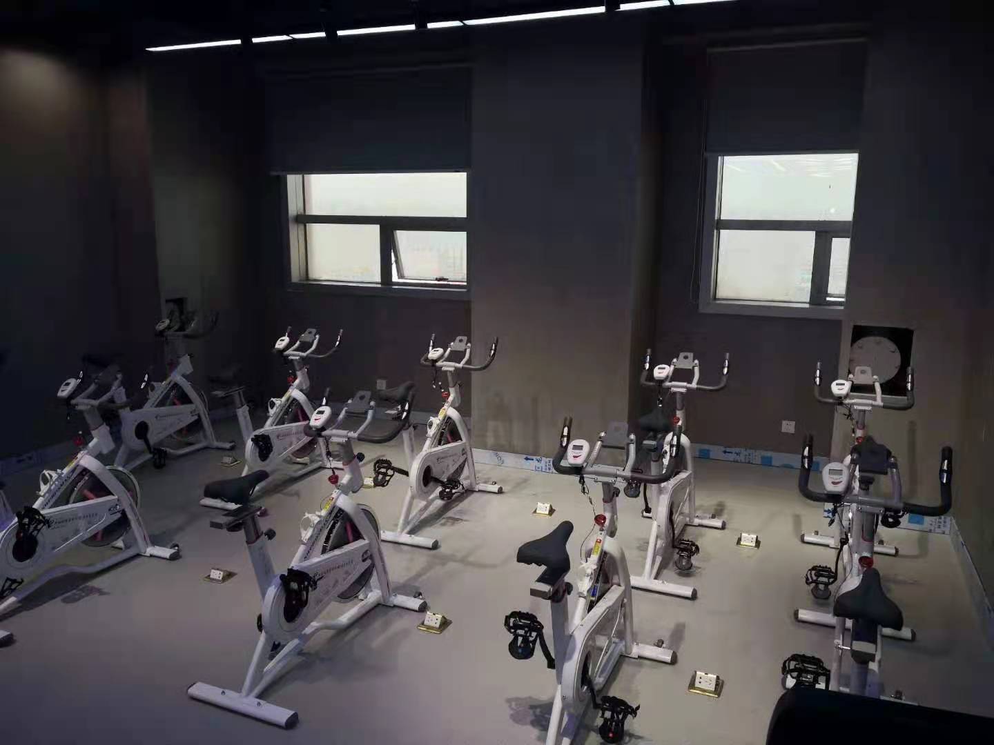 健身器材 健身器材