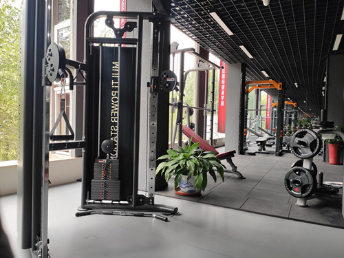 大飛鳥和小飛鳥 大飛鳥和小飛鳥